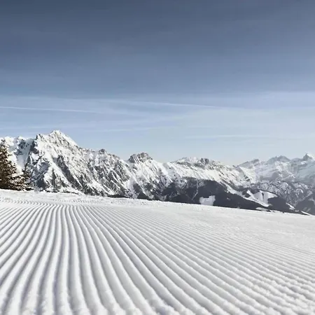 公寓 In Near Slopes *